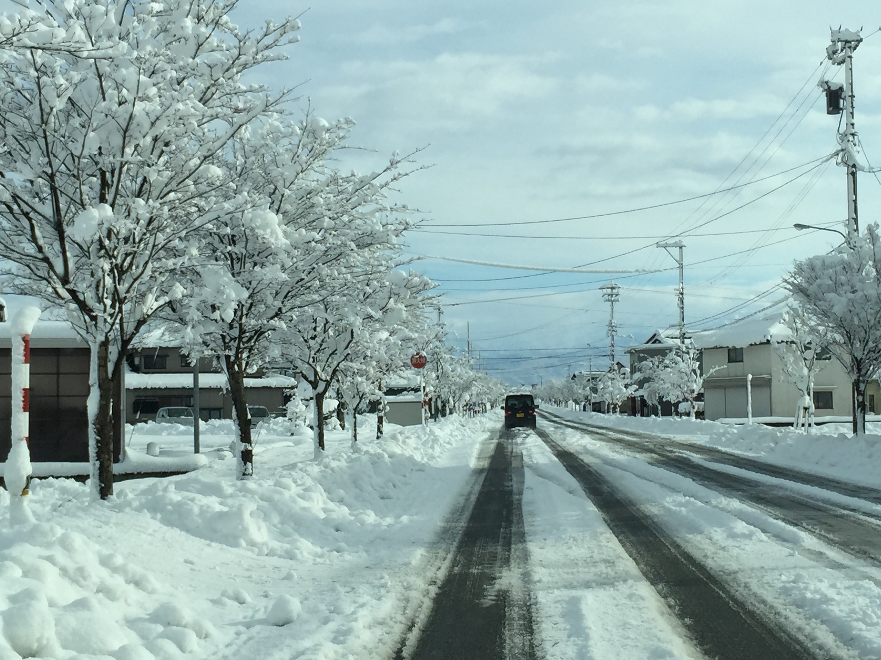 大阪へ帰りました(◍˃̶ᗜ˂̶◍)ﾉ”